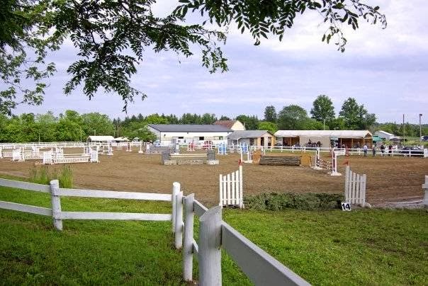 Pickering Horse Centre Ltd | 3800 Paddock Rd, Claremont, ON L1Y 1A2, Canada | Phone: (905) 626-9065