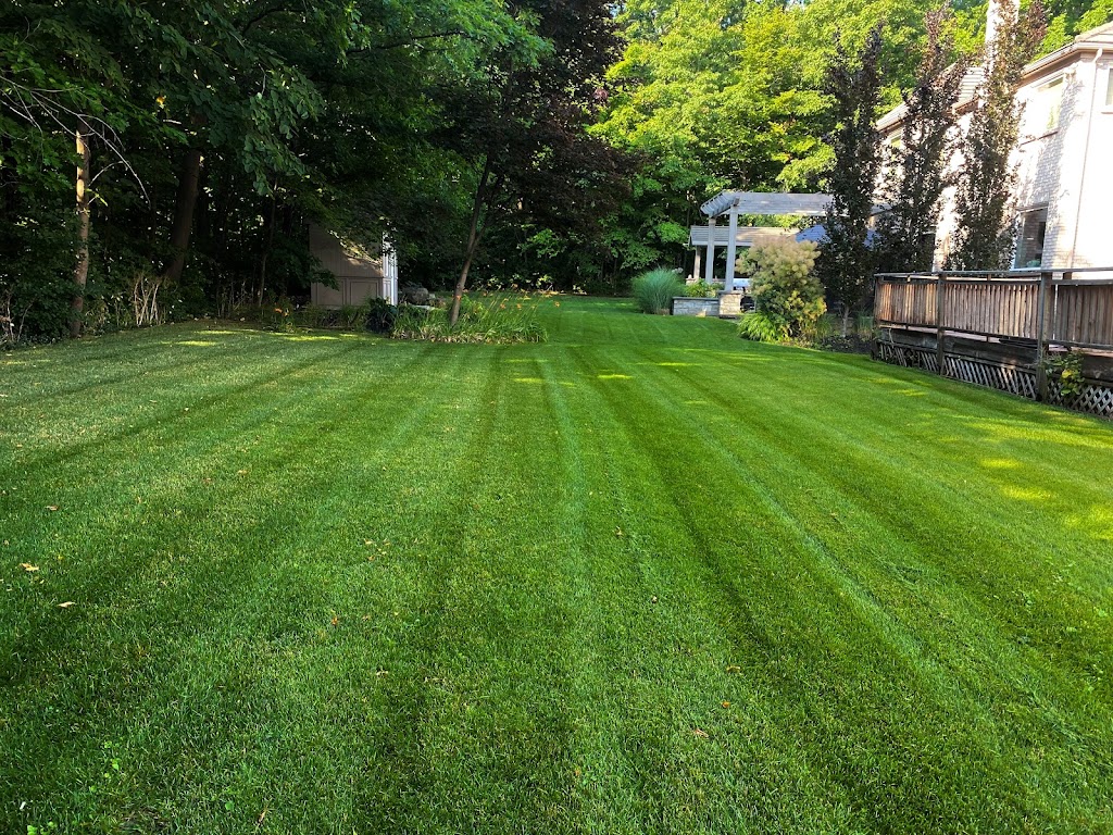 Ramows lawn care | 2421 Bankside Dr, Mississauga, ON L5M 6E6, Canada | Phone: (647) 335-1499