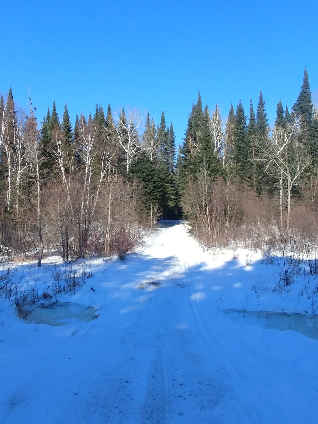 Grand Beach Cross Country Ski Trails | Unnamed Road, Grand Marais, MB R0E 0T0, Canada | Phone: (204) 754-5040