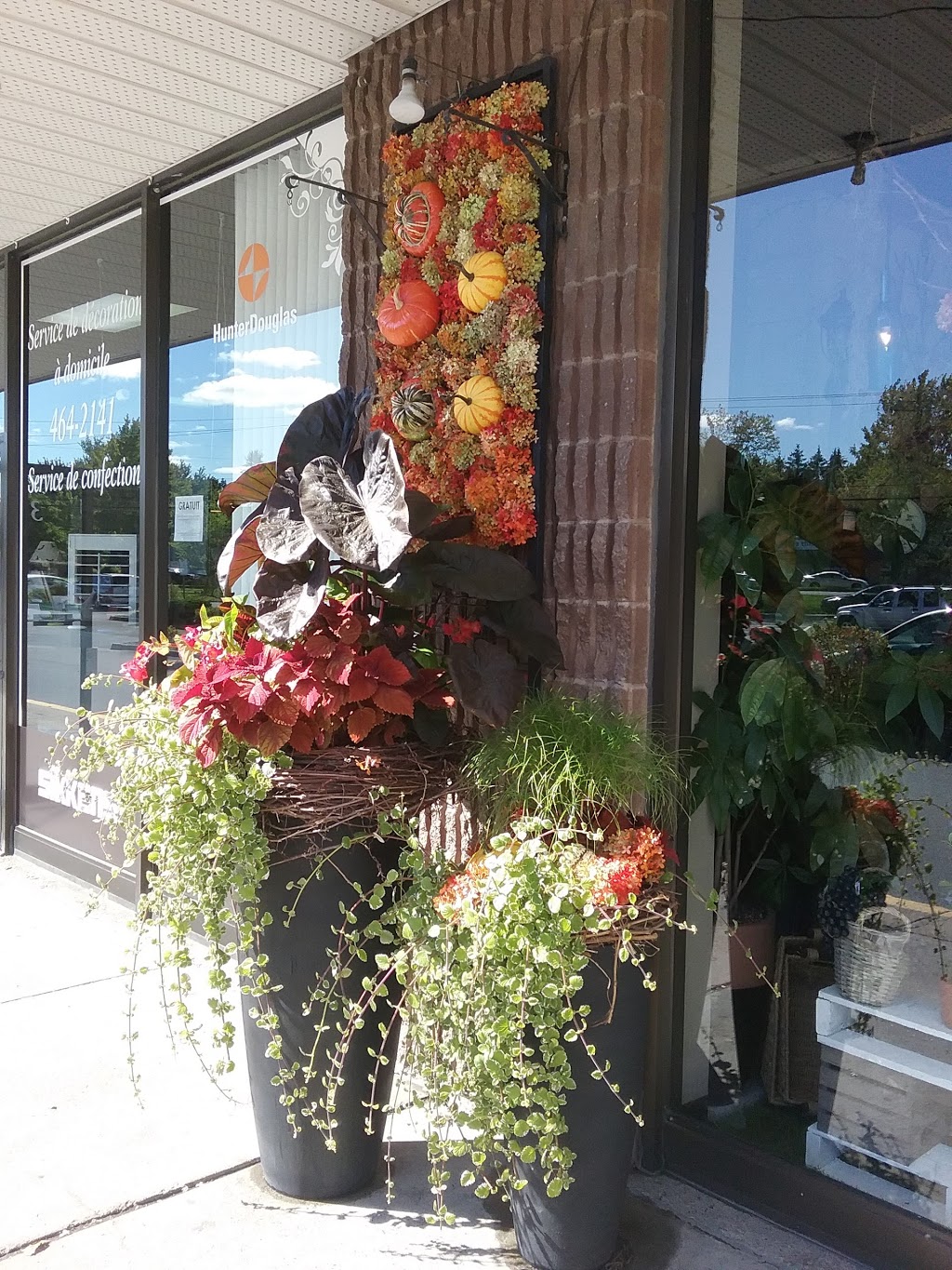 Fleuriste Fleurs de Cactus | 317 Boulevard Sir-Wilfrid-Laurier, Mont-Saint-Hilaire, QC J3H 3N8, Canada | Phone: (450) 464-0340