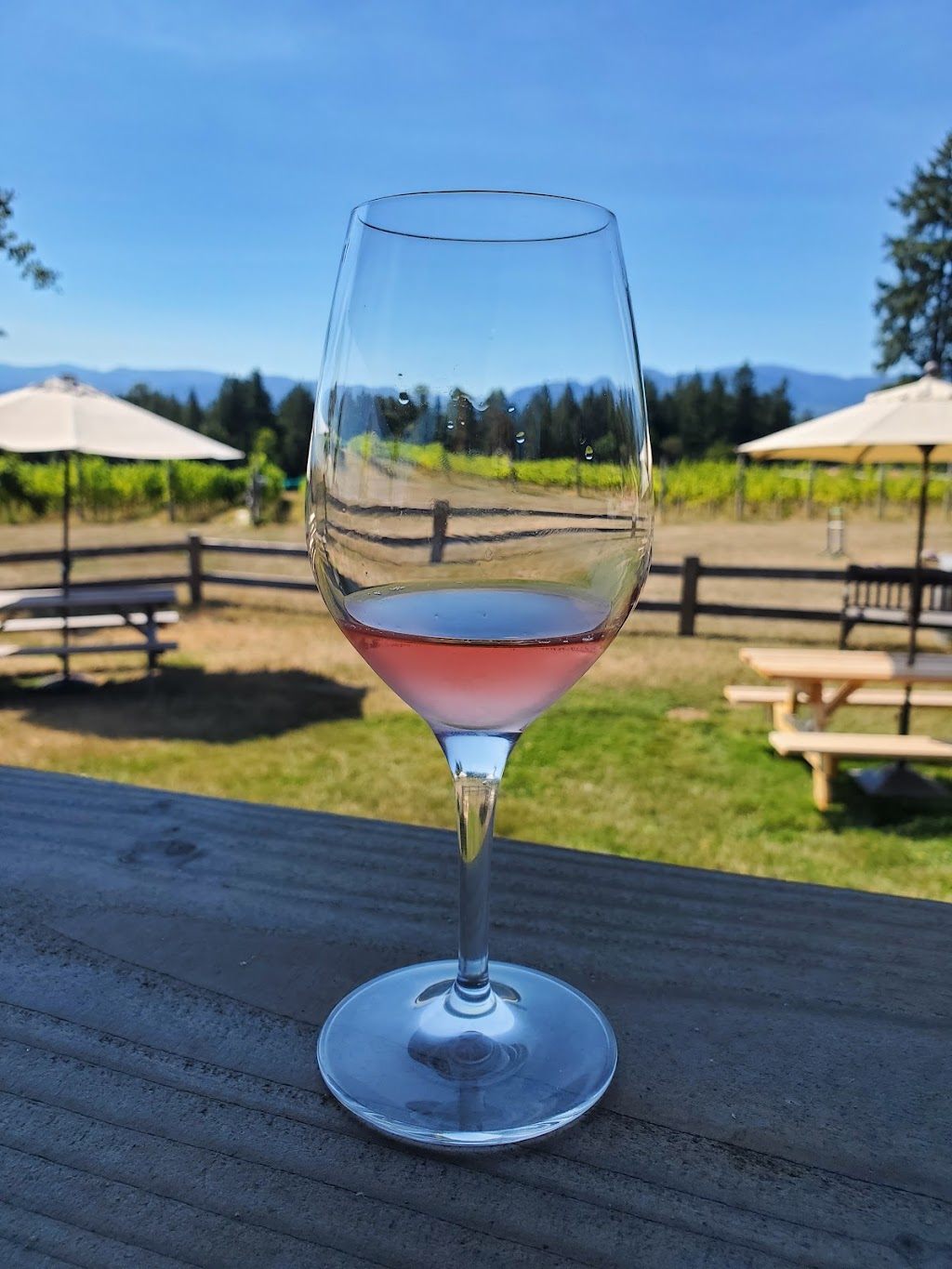 Beaufort Vineyard & Estate Winery | 5854 Pickering Rd, Courtenay, BC V9J 1T4, Canada | Phone: (250) 338-1357