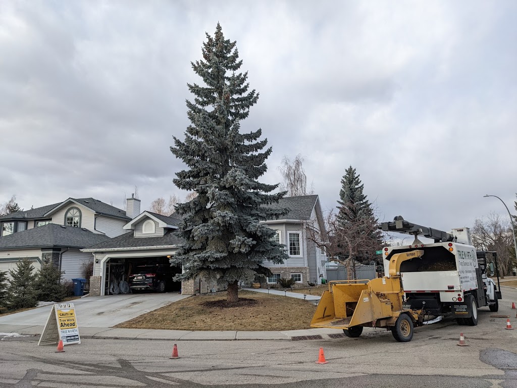 True North Tree Services Inc. | 212 Willow St, Cochrane, AB T4C 0Y8, Canada | Phone: (403) 690-1269