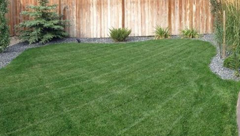 Greener Grass Ltd | 240007 Frontier Cres, #4, AB T1X 0R4, Canada | Phone: (403) 271-2111