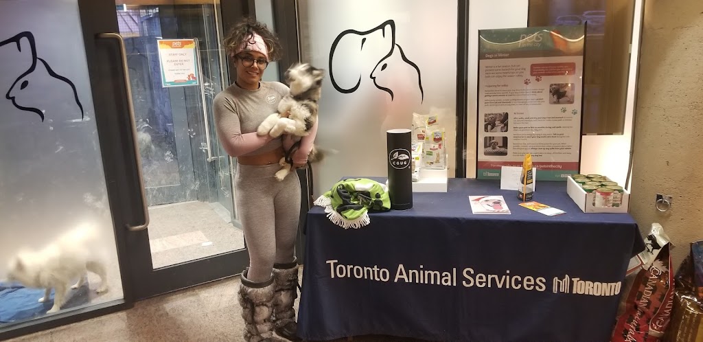 Toronto Animal Services | 821 Progress Ave, Scarborough, ON M1H 2X4, Canada | Phone: (416) 338-7539