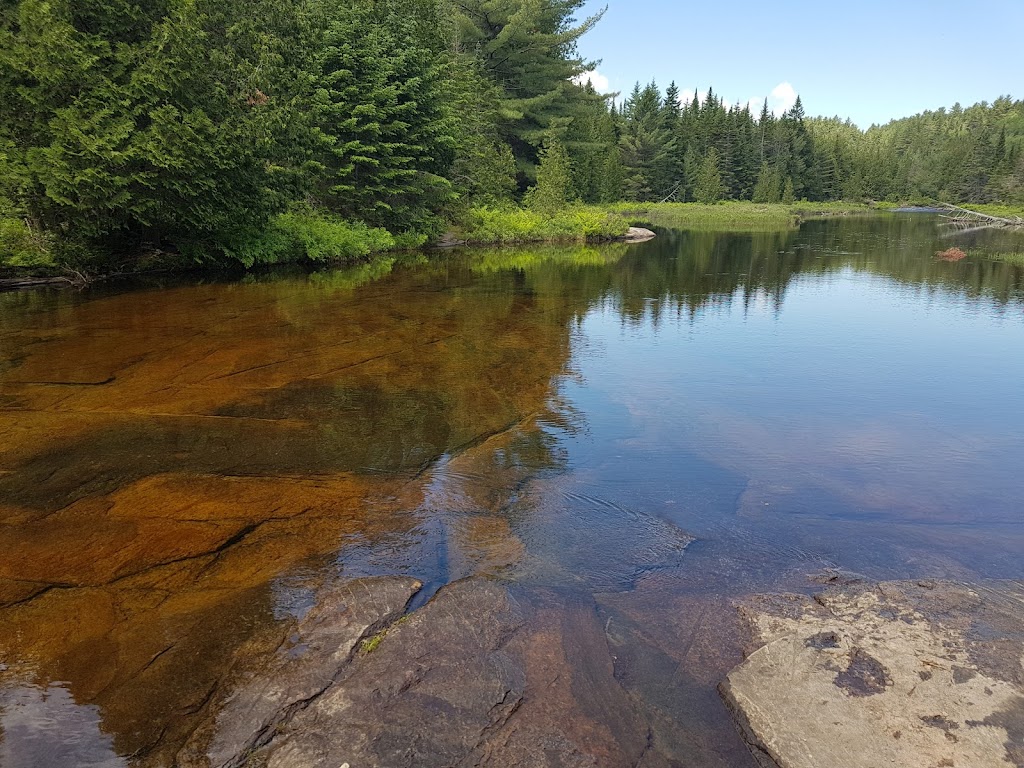 Service DArboriculture Serge | 1270 Chemin St François, Saint-Mathieu-du-Parc, QC G0X 1N0, Canada | Phone: (819) 532-3022