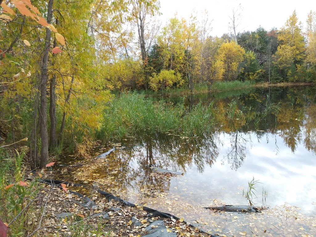 Parc Naturel des Parulines | 166 Chemin du Clocher, Saint-Jean-sur-Richelieu, QC J3B 7B2, Canada | Phone: (450) 359-2400