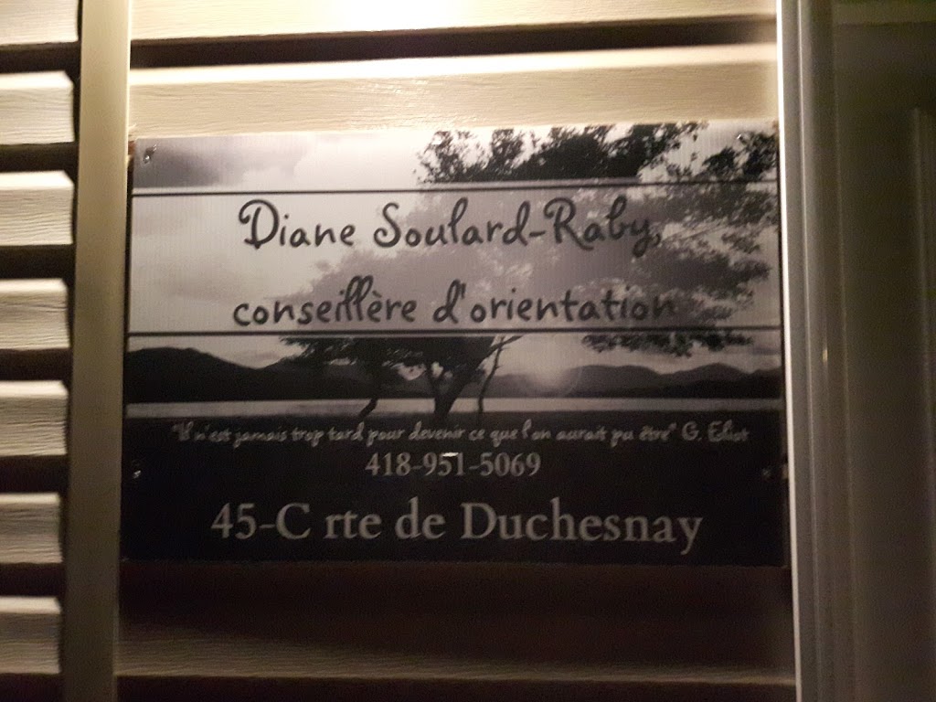 D.S.R. Conseillère En Orientation | 45-C Route de Duchesnay, Sainte-Catherine-de-la-Jacques-Cartier, QC G3N 0J2, Canada | Phone: (418) 951-5069