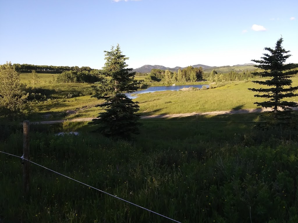 Gladstone Mountain Ranch and Conference Centre | 54A Township Road, Blairmore, AB T0K 0E0, Canada | Phone: (403) 627-1999