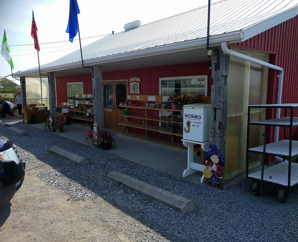 Lakeshore Farms Market | 467 Wellington Main St, Wellington, ON K0K 3L0, Canada | Phone: (613) 399-1733