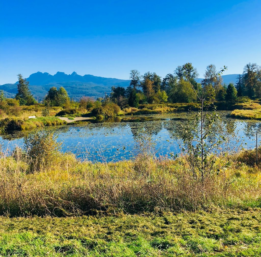 Pitt Meadows Dyke Trail System | 1Z1, Trans Canada Trail, Pitt Meadows, BC V3Y 1Z1, Canada