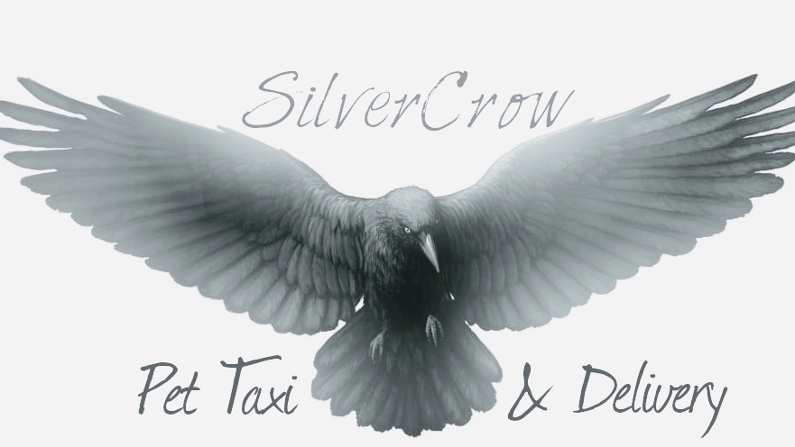 SilverCrow Pet Taxi and Delivery | 128 Ocean Dr, Saint John, NB E2P 1G4, Canada | Phone: (506) 650-2520