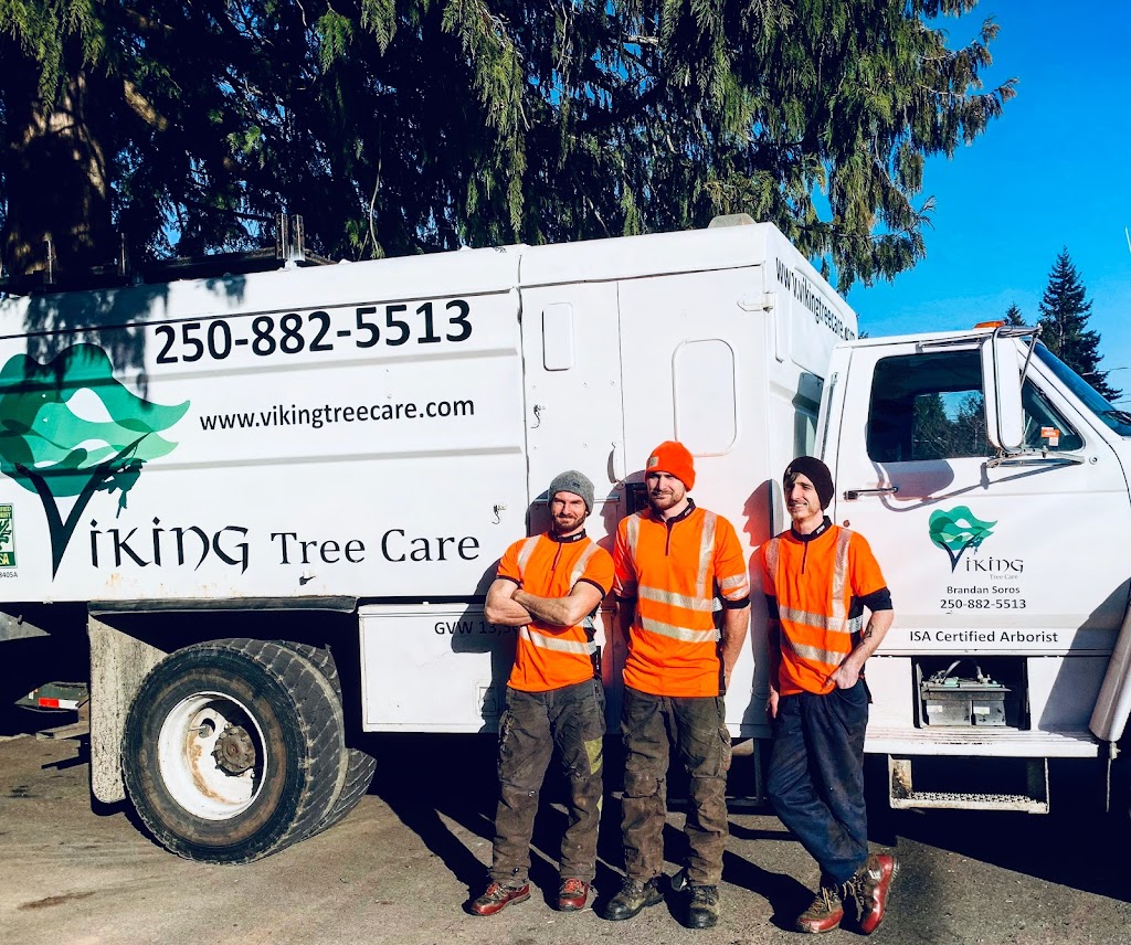 Viking Tree Care Ltd. | 223 Fourth Ave W, Qualicum Beach, BC V9K 1S3, Canada | Phone: (250) 882-5513