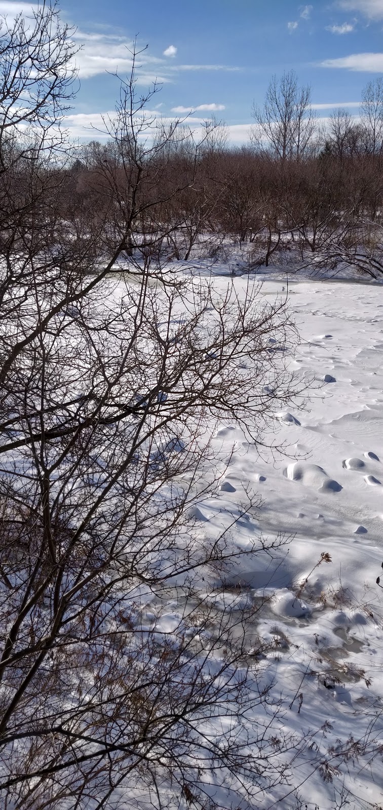 Humber River Recreational Trail | Humber River Recreational Trail, Etobicoke, ON M9A 3G9, Canada