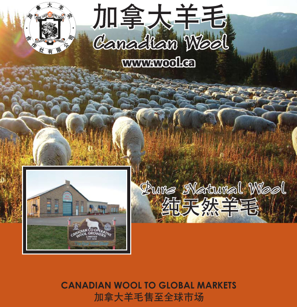 Wool Warehouse - CCWG Ltd | 142 Franktown Rd, Carleton Place, ON K7C 3P3, Canada | Phone: (613) 257-2714 ext. 4