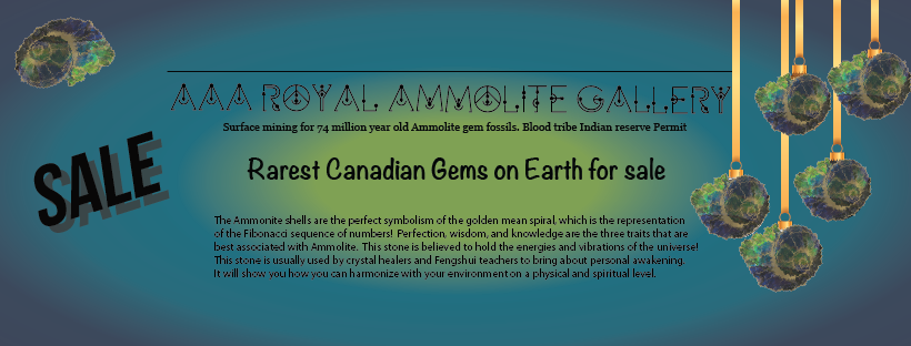 AAA Royal Ammolite Gallery | 3103 Van Horne Rd, Qualicum Beach, BC V9K 2L2, Canada | Phone: (250) 752-0777