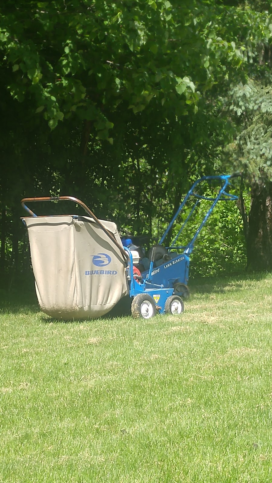 Bray-Meg Lawn Care Ltd | 47 st, 57 Ave, Tofield, AB T0B 4J0, Canada | Phone: (780) 920-9820