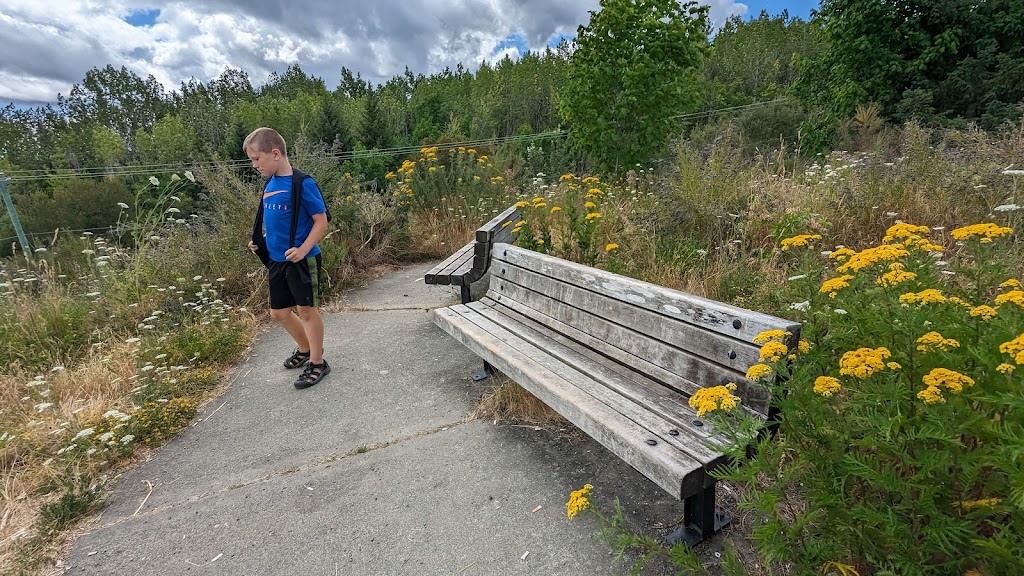 Buckley Bay Rest Area | 6866 Buckley Bay Rd, Fanny Bay, BC V0R 1W0, Canada | Phone: (800) 663-7867