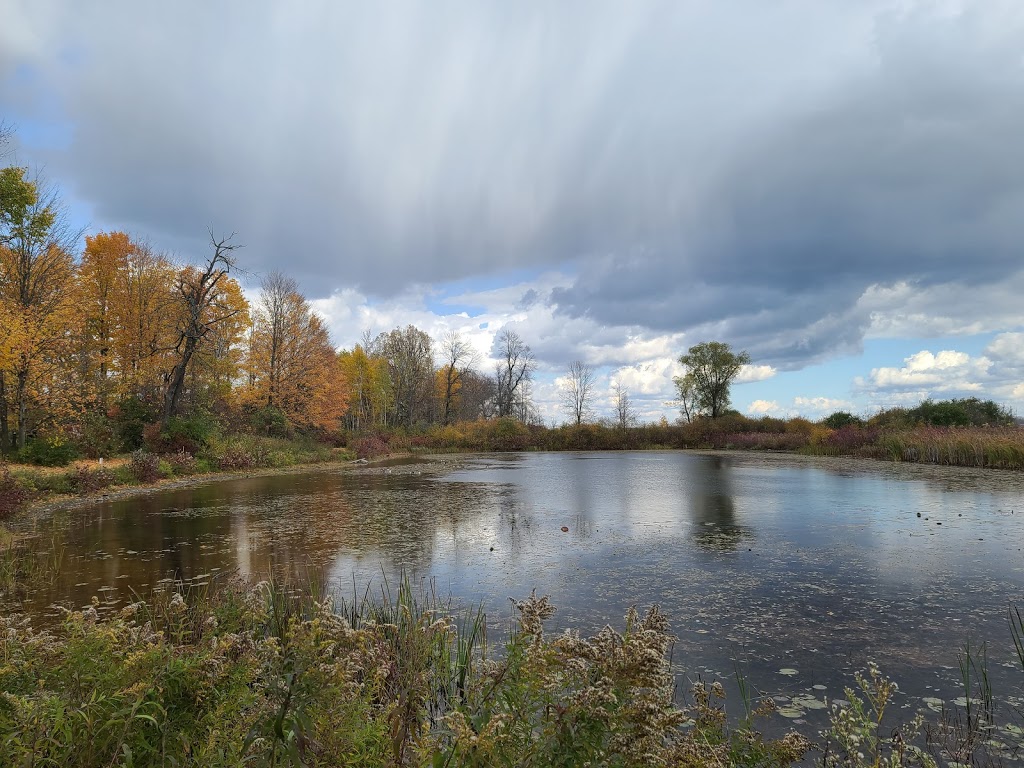 Mac Johnson Wildlife Area | Debruge Rd, Brockville, ON, Canada | Phone: (613) 345-1990