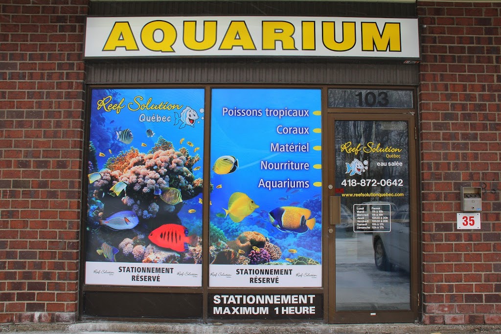 Reef Solution Quebec | 75 Boulevard Bastien, Wendake, QC G0A 4V0, Canada | Phone: (418) 842-2702