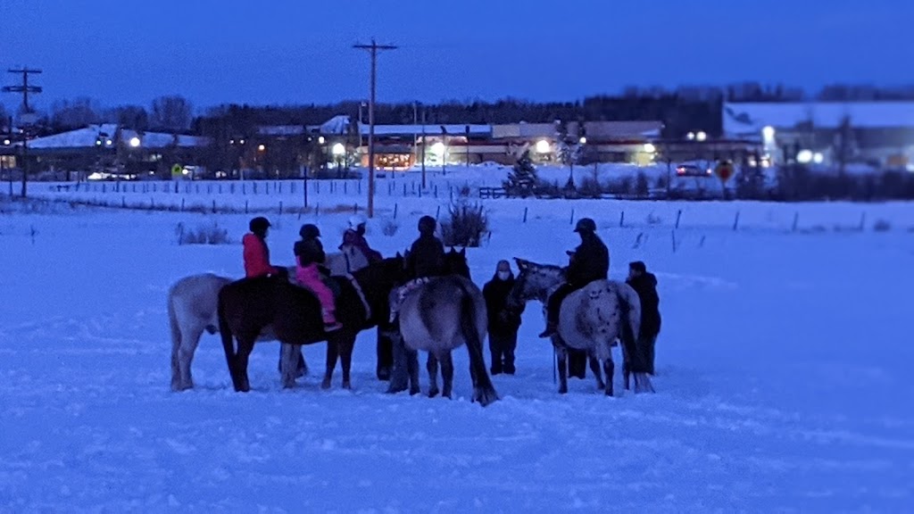 Discovering the Horse | 243201 Range Rd 33, Calgary, AB T3Z 2E6, Canada | Phone: (403) 242-7648