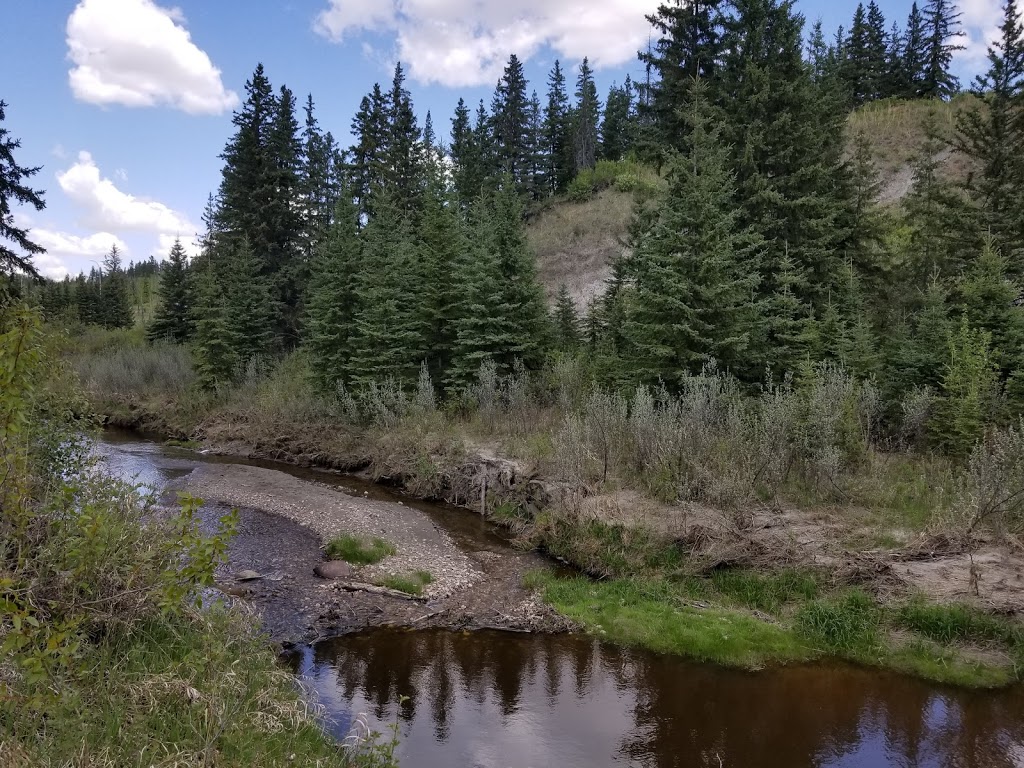 Larch Sanctuary | MacTaggart Sanctuary Trail Loop, Edmonton, AB T6J 5N2, Canada