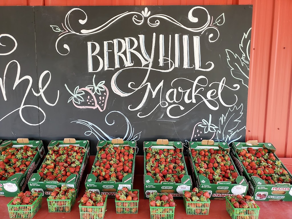 Berry Hill Market | 48937 Glencolin Line, Aylmer, ON N5H 2R6, Canada | Phone: (519) 765-1752