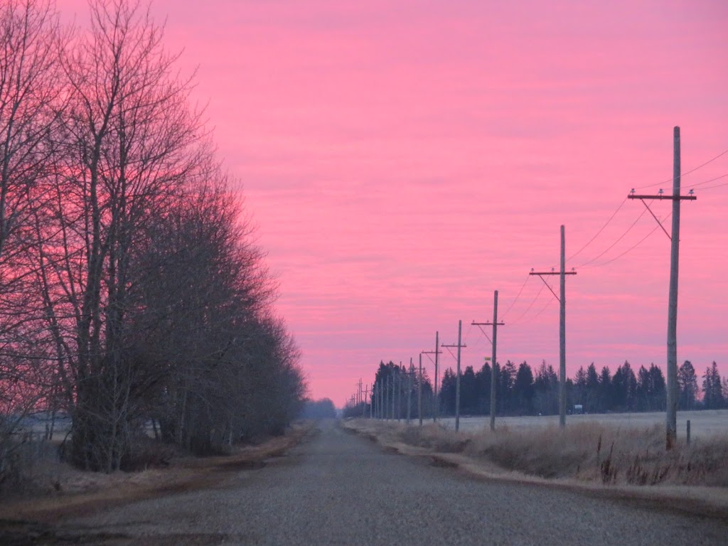 Erskine Hutterite Colony | Erskine, AB T0C 1G0, Canada | Phone: (403) 742-5053