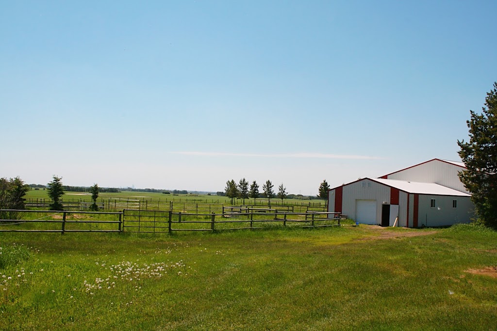 Speer Stables | Range Rd 231, Alberta T8L 5B6, Canada | Phone: (780) 850-2191