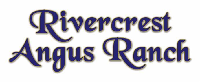 Rivercrest Angus Ranch | Range Rd 143, Galahad, AB T0B 1R0, Canada | Phone: (403) 740-4978