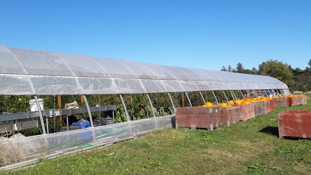 McGill Community Garden | Sainte-Anne-de-Bellevue, QC H9X 3L9, Canada