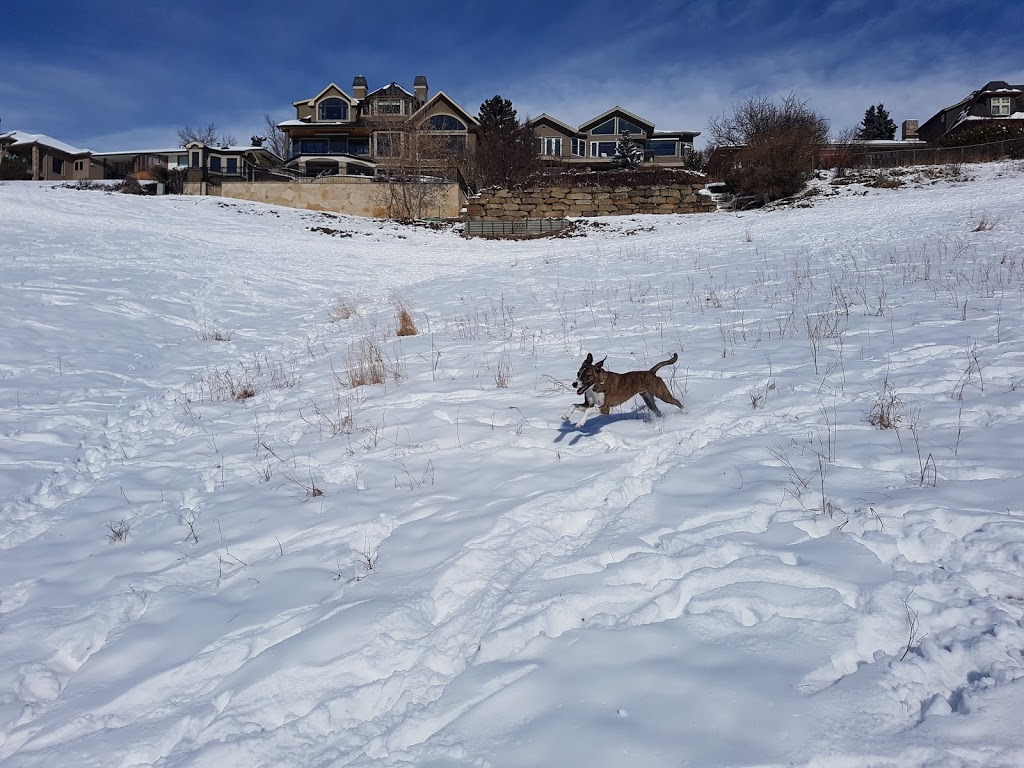 West Hillhurst off-leash area WHL-001 | 1025 19 St NW, Calgary, AB T2N 3V6 19 St NW, Calgary, AB T2N 3V6, Canada