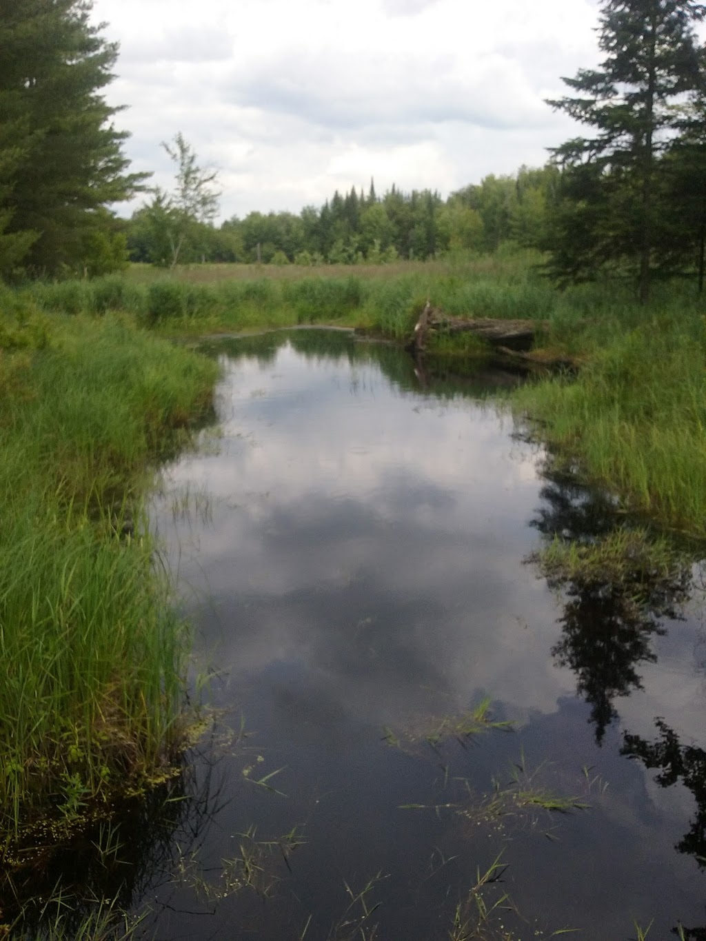 The Gulf Unique Area | Mooers Forks, NY 12959, USA