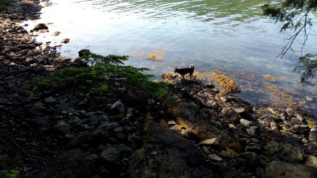 Narvaez Bay campsite | Saturna, BC V0N 2Y0, Canada