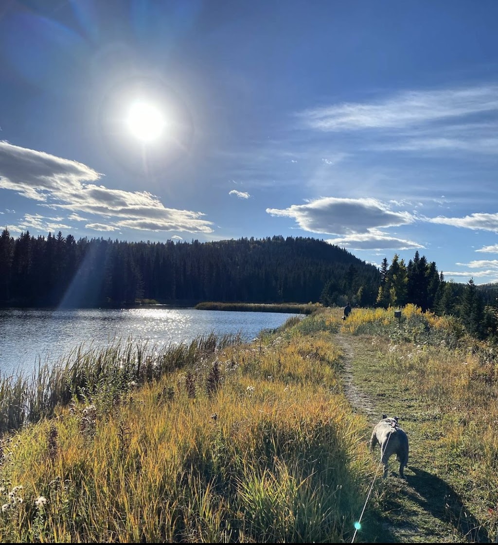 Rustic Cozy Cabin with hot tub | 34 Mountain Lion Pl, Bragg Creek, AB T0L 0K0, Canada | Phone: (403) 588-8080