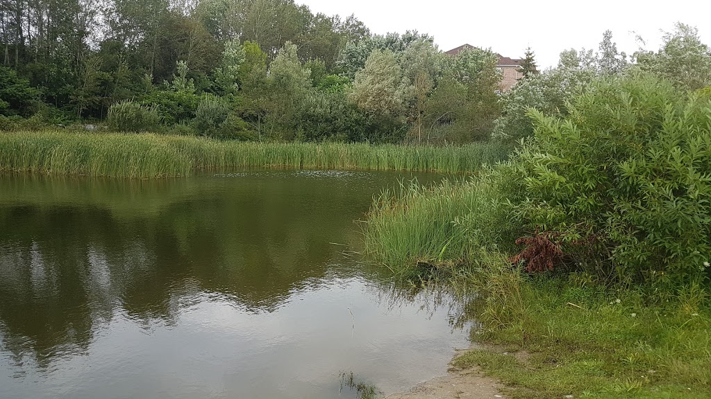 Stormwater Quality Pond & Forest Area | Off 0A5, 965 Langford St, Oshawa, ON L1K 0A5, Canada