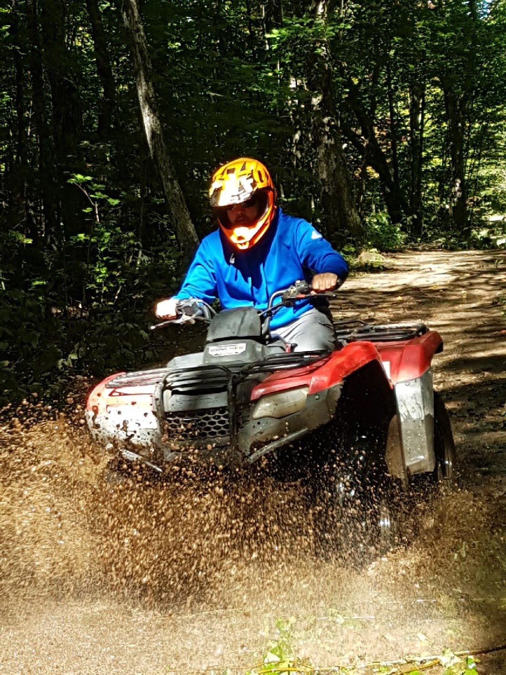 Back Country Tours Inc. | 48 Highland St, Haliburton, ON K0M 1S0, Canada