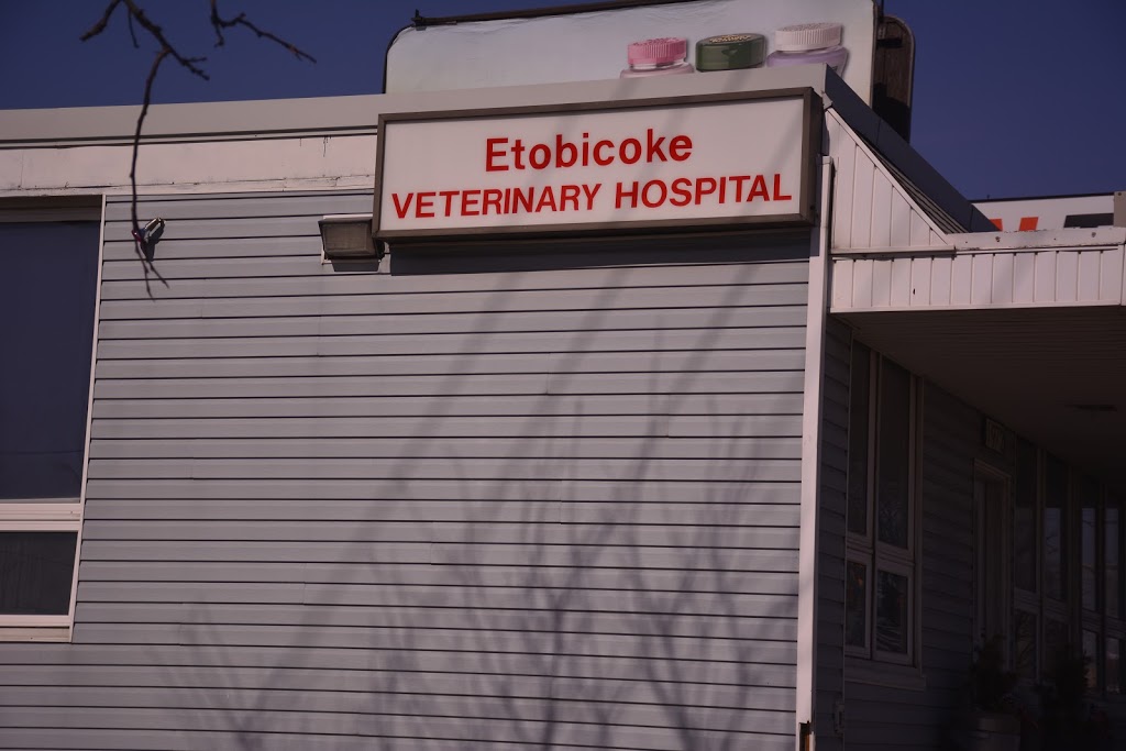 Etobicoke Veterinary Hospital | 1972 Kipling Ave, Etobicoke, ON M9W 4J5, Canada | Phone: (416) 745-4700