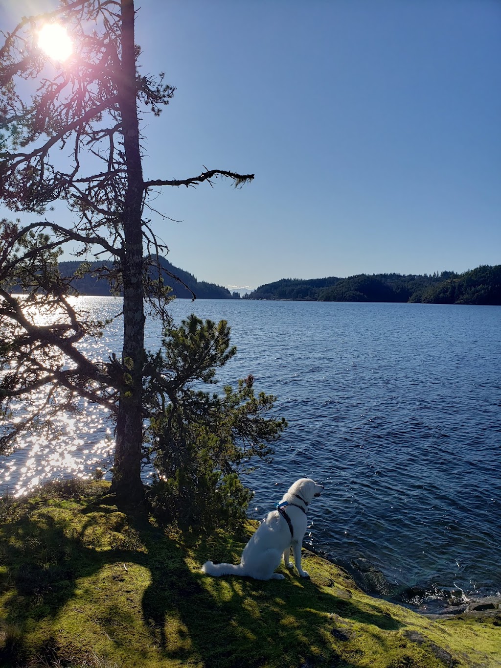 Haywire Bay Regional Park | 7020 Powell Lake, Powell River, BC V0N 1E0, Canada | Phone: (604) 483-1097