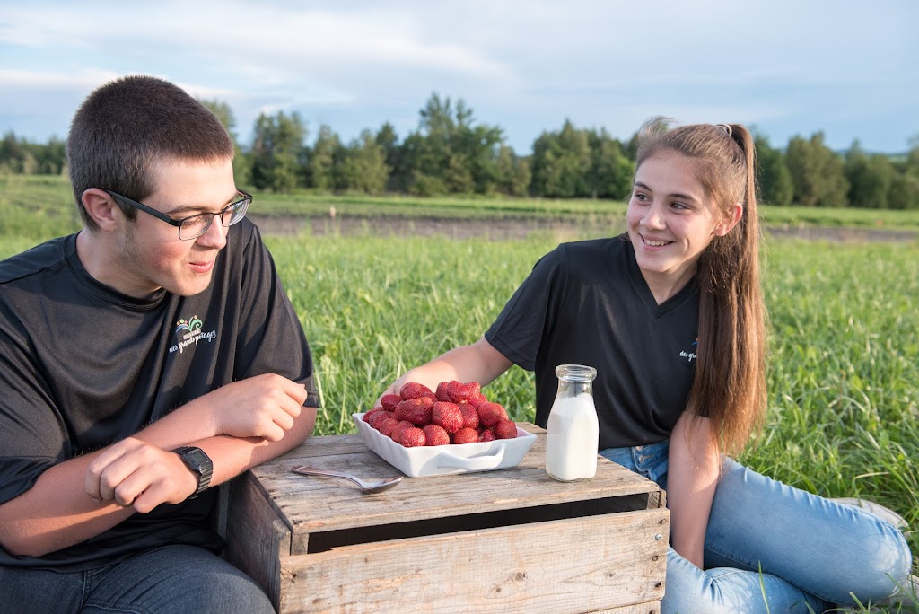 Vallée des grands potagers | 6362 Rte Louis-S.-Saint-Laurent, Compton, QC J0B 1L0, Canada | Phone: (819) 212-4433