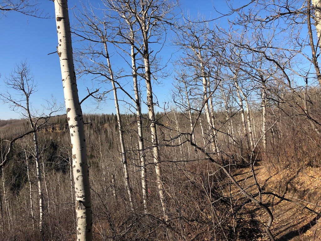 Creek-Lands Foot Trails | Township Rd 502A, Thorsby, AB T0C 2P0, Canada