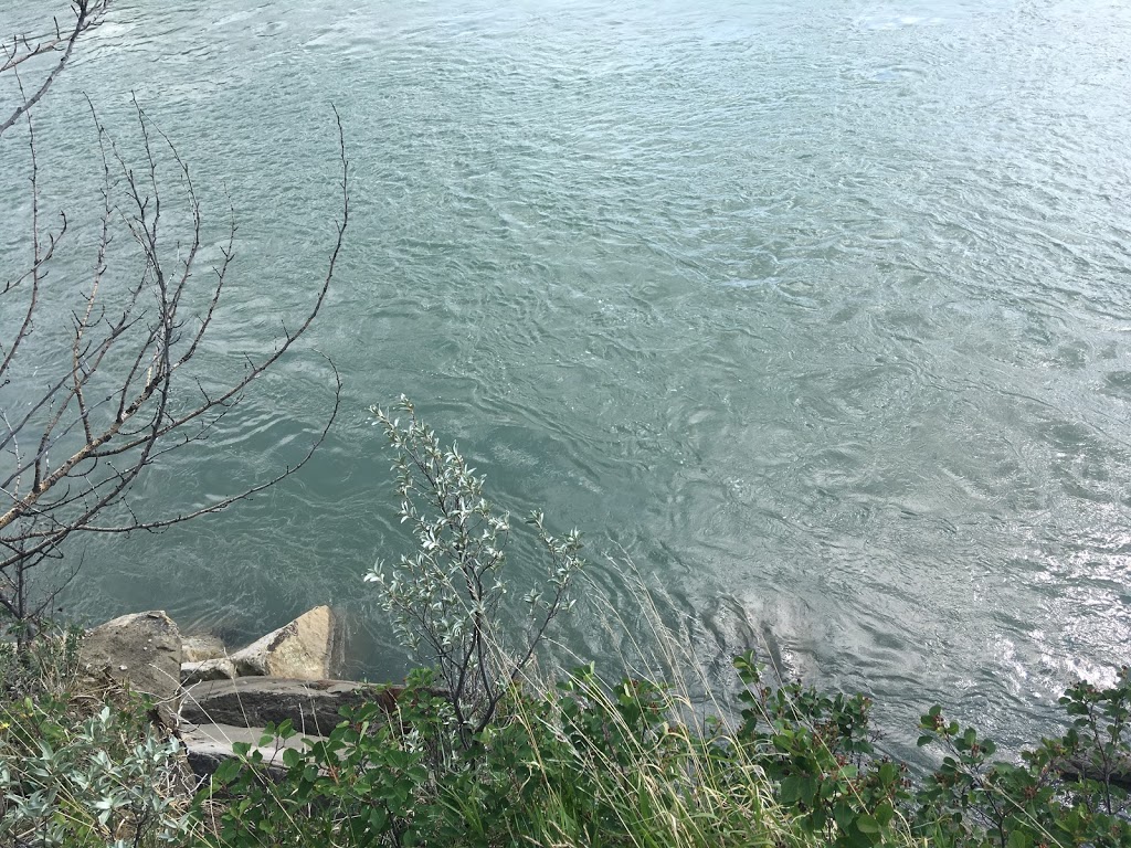 Silver Springs Boardwalk | Bow River Pathway, Calgary, AB T3B 3P5, Canada