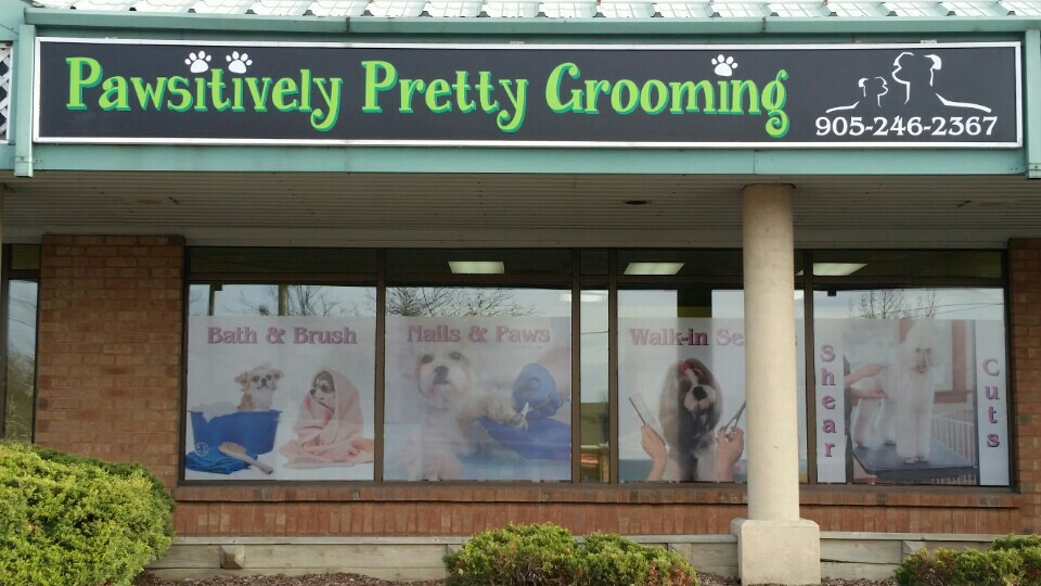 pawsitively pretty grooming | 2 Lakeshore Rd, St. Catharines, ON L2N 7E4, Canada | Phone: (905) 246-2367