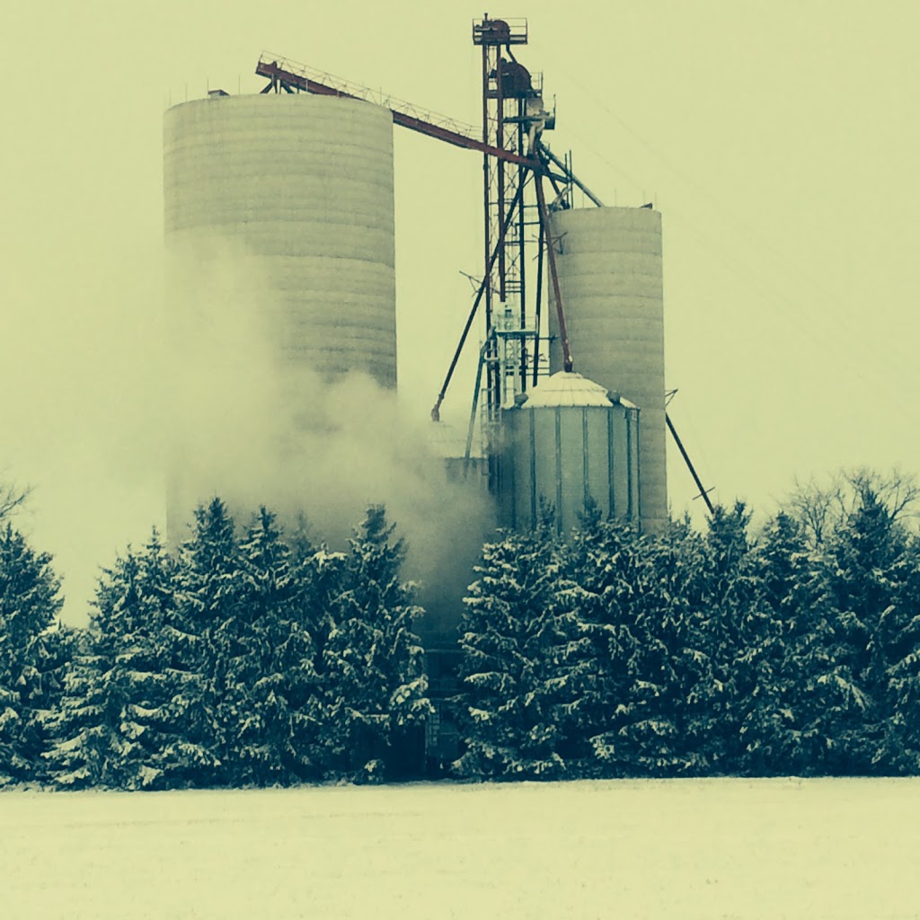 Rolling Acres Grain Inc | 44285 Huron Bruce Rd, Clifford, ON N0G 1M0, Canada | Phone: (519) 367-2060