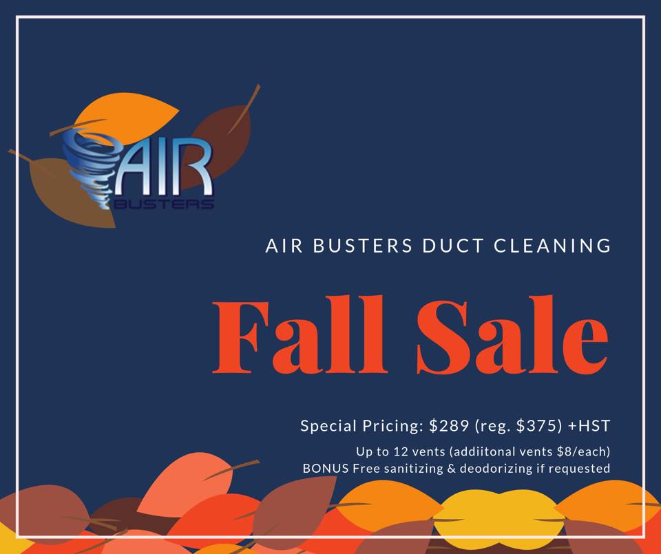 Air Busters Air Duct Cleaning | 134 Robin Ridge Dr, Belmont, ON N0L 1B0, Canada | Phone: (226) 210-8721