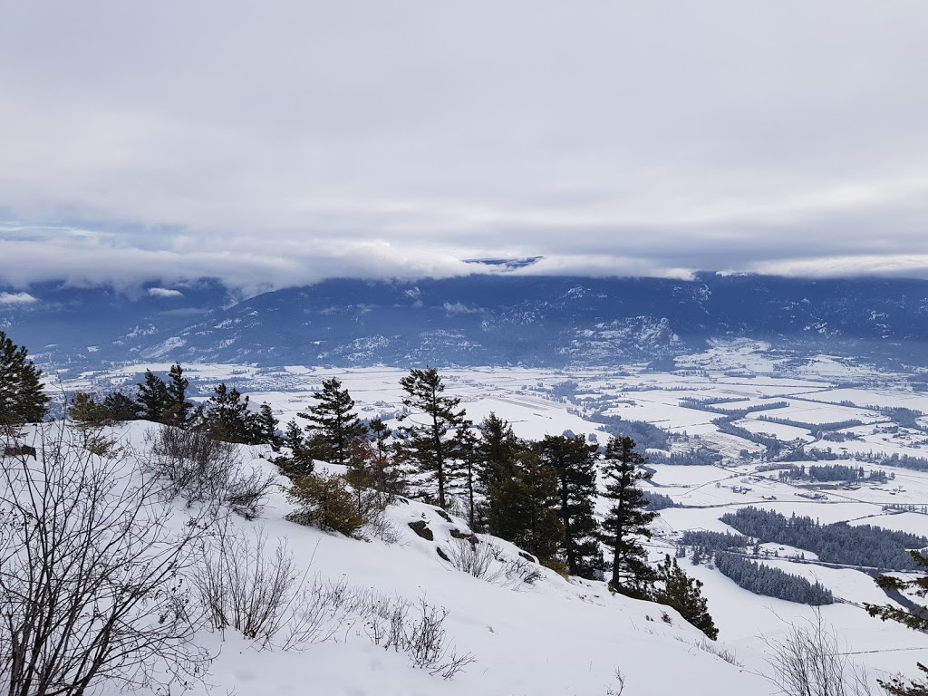 Rose Swanson Hiking Trails | Chamberlaine Rd, Armstrong, BC V0E 1B4, Canada