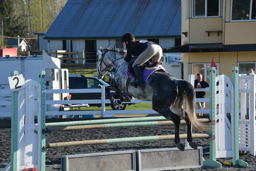 Central-Island Equestrian Center Nanaimo | 2380 Kendall Rd, Nanaimo, BC V9X 1W9, Canada | Phone: (250) 713-0601