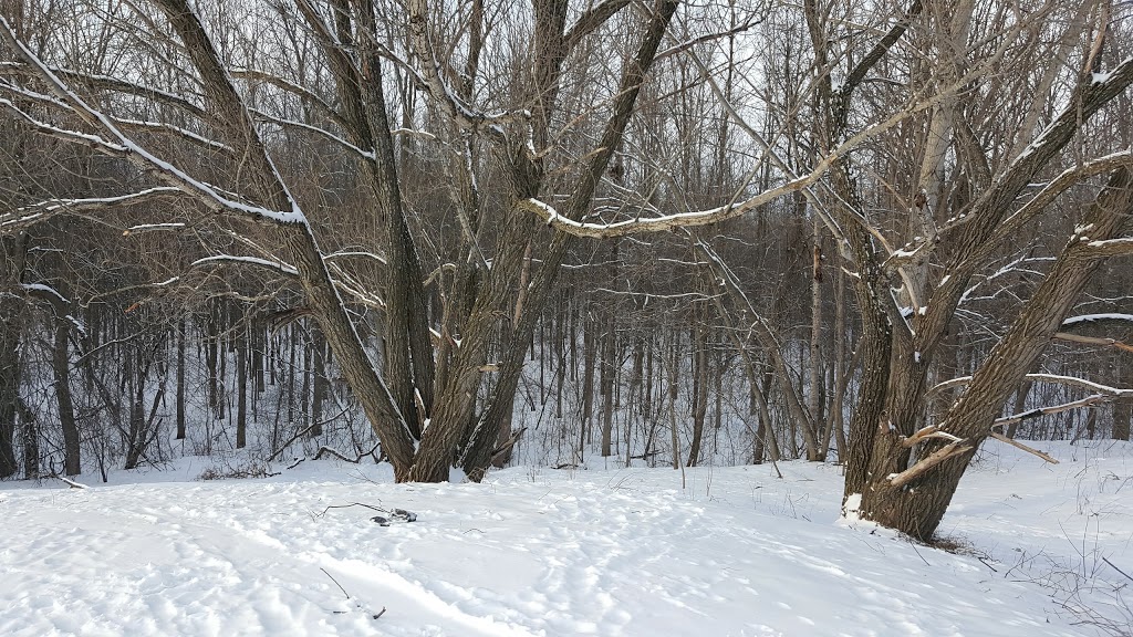 Chanonhouse Park | Richmond, ON K0A 2Z0, Canada