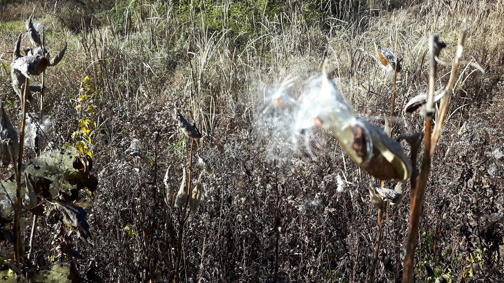 Darroch Nature Reserve | Walkerton, ON N0G 2V0, Canada | Phone: (888) 815-9575