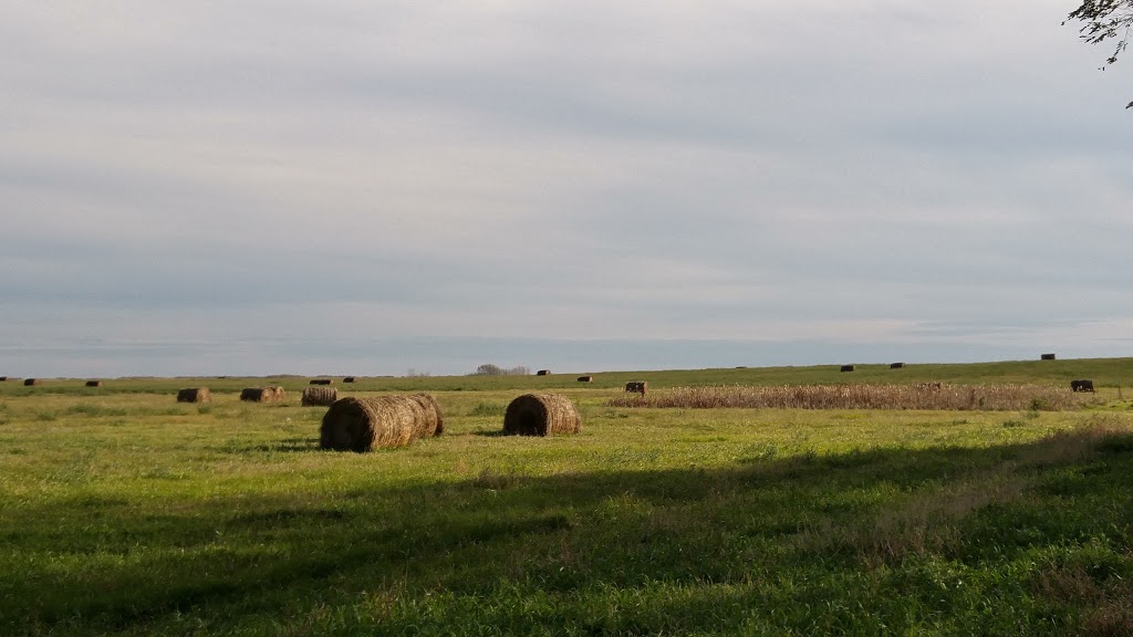 Lipton Memorial Rink | 215 Osidge St, Lipton, SK S0G 3B0, Canada | Phone: (306) 336-2360