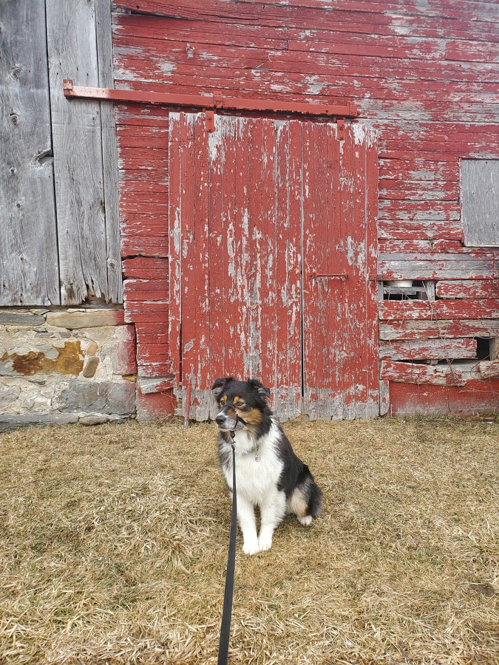 Elam Martin Farmstead at RIM Park | Woolwich St N, Waterloo, ON N0B 1K0, Canada | Phone: (519) 886-1550